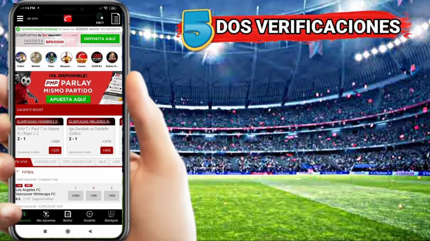 Bonos de casino regulados por la DGOJ en España