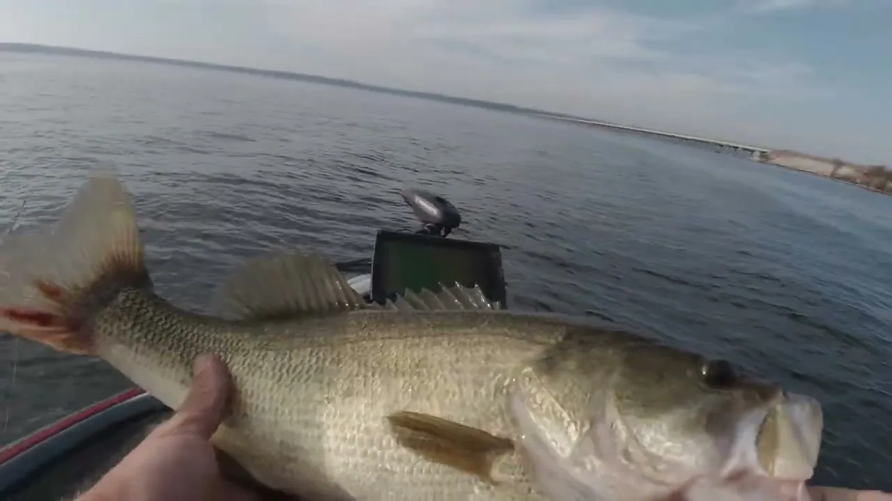 Big Bass Splash en vídeo (2)