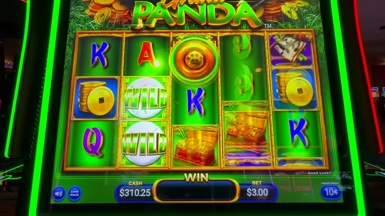juegos de casino en vídeo (5)
