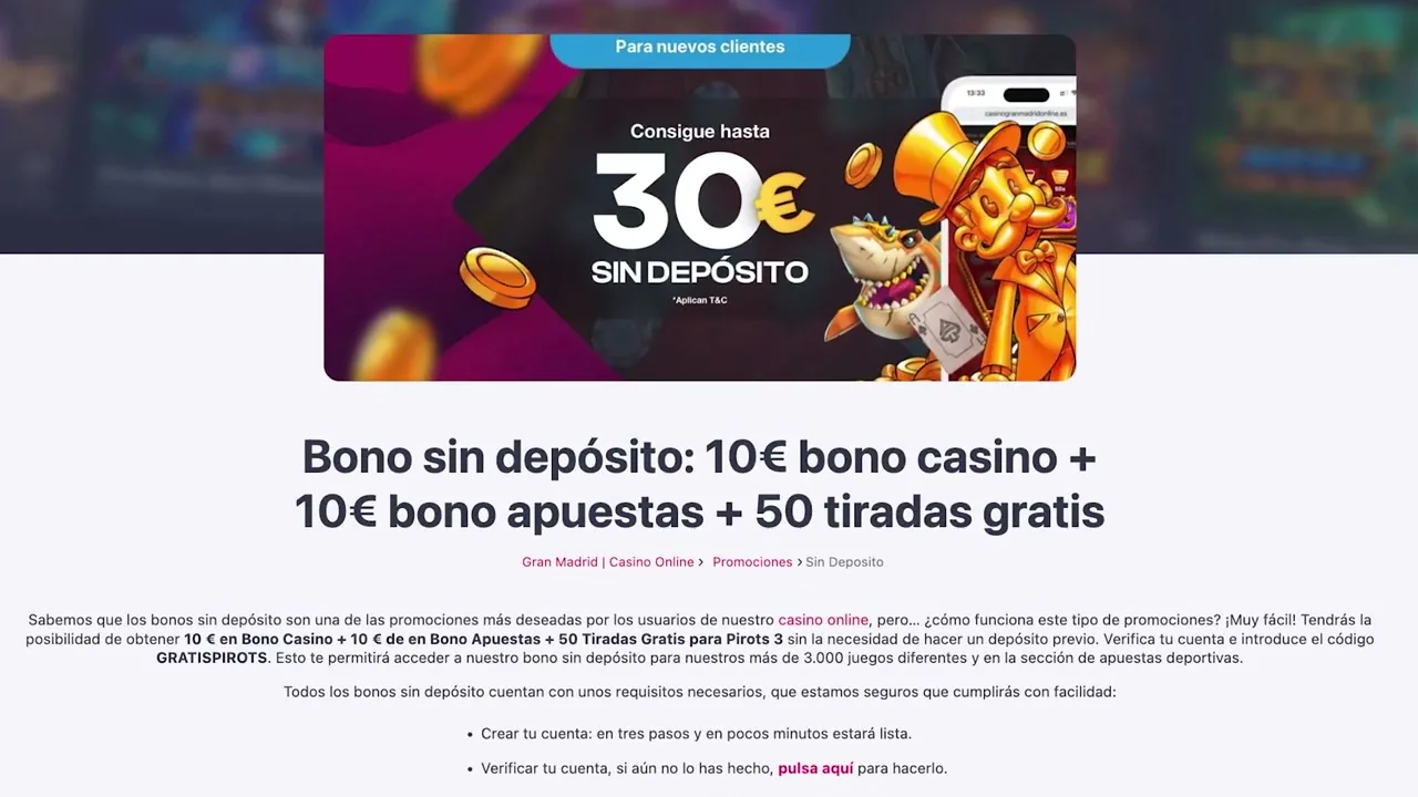 Bizum en vídeo (4)