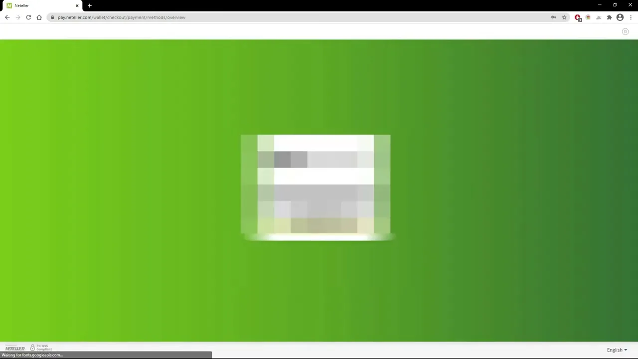 Neteller en vídeo (4)